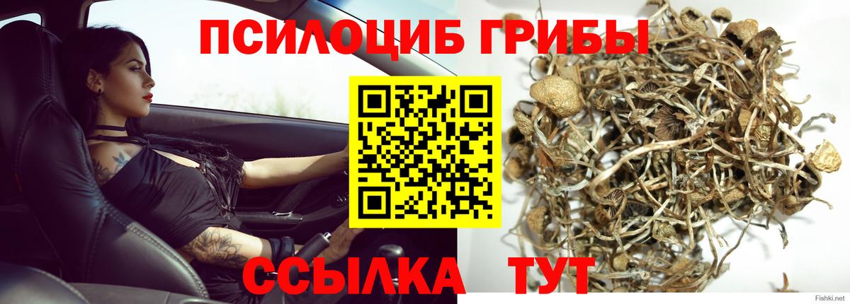 Псилоцибиновые грибы мицелий Нефтеюганск